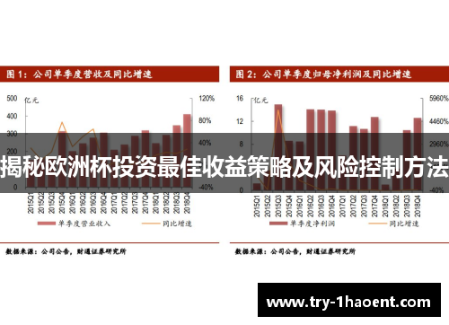 揭秘欧洲杯投资最佳收益策略及风险控制方法
