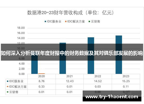 如何深入分析曼联年度财报中的财务数据及其对俱乐部发展的影响