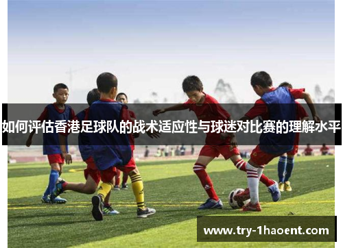 如何评估香港足球队的战术适应性与球迷对比赛的理解水平