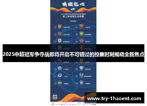 2025中超冠军争夺战即将开启不可错过的投票时刻揭晓全新焦点