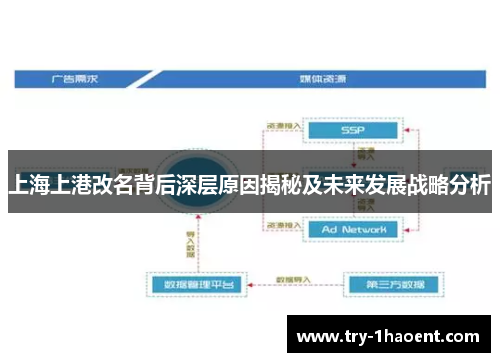 上海上港改名背后深层原因揭秘及未来发展战略分析