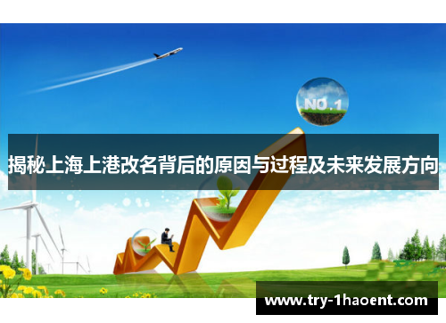 揭秘上海上港改名背后的原因与过程及未来发展方向