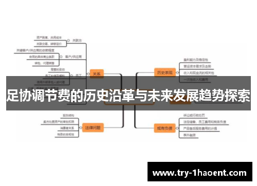足协调节费的历史沿革与未来发展趋势探索