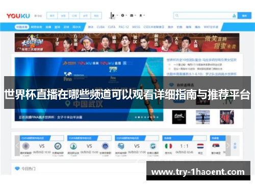 世界杯直播在哪些频道可以观看详细指南与推荐平台