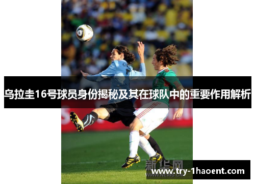 乌拉圭16号球员身份揭秘及其在球队中的重要作用解析 乌拉圭16号球员身份揭秘及其在球队中的重要作用解析