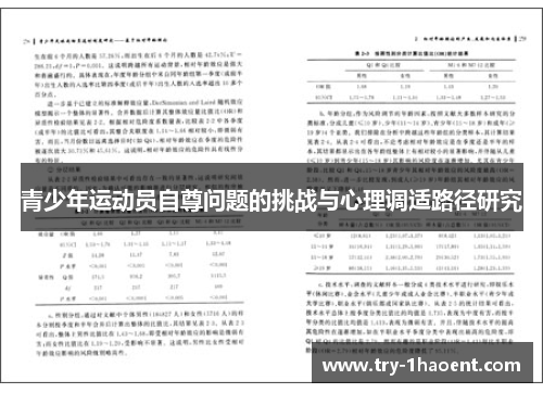青少年运动员自尊问题的挑战与心理调适路径研究