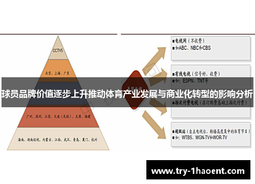 球员品牌价值逐步上升推动体育产业发展与商业化转型的影响分析