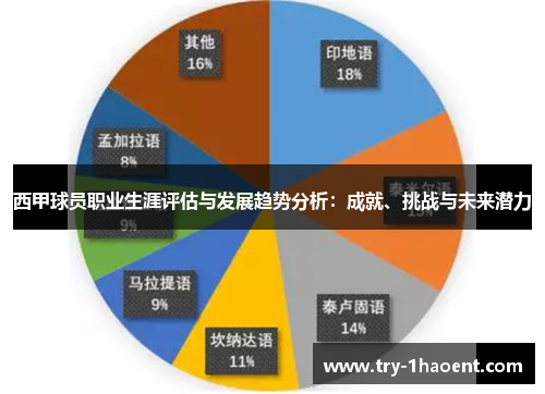 西甲球员职业生涯评估与发展趋势分析：成就、挑战与未来潜力